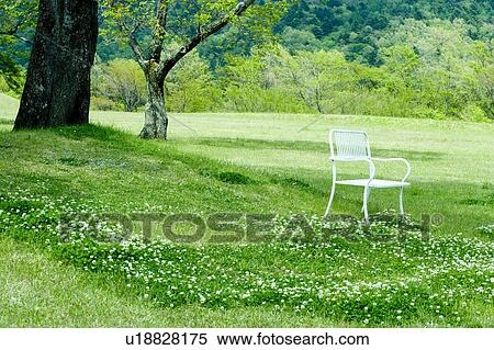 White chair in a field View Large Photo Image Stock Photography - White chair in a field. Fotosearch