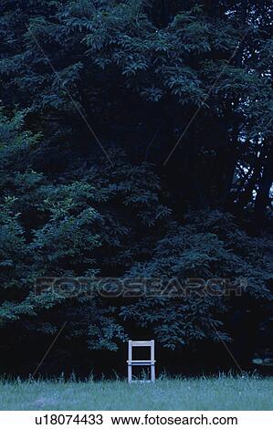 White chair in front of trees View Large Photo Image Stock Image - White chair in front of trees. Fotosearch
