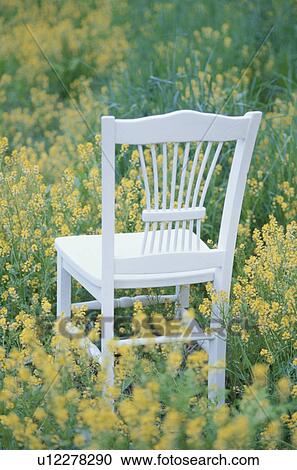 Stock Image - White chair in oilseed rape crop. Fotosearch