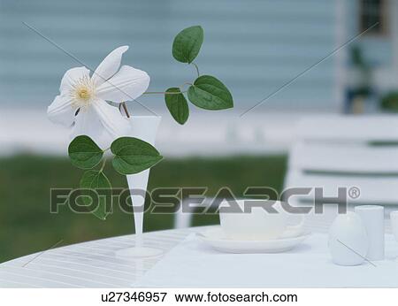 Stock Photo - White flower in a vase on an outdoor table. Fotosearch