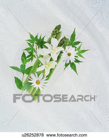 Stock Photo - White flowers and asparagus. Fotosearch