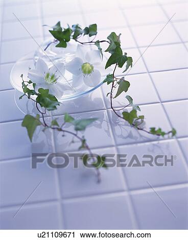 Stock Image - White flowers and ivy on a plate on white tiles. Fotosearch