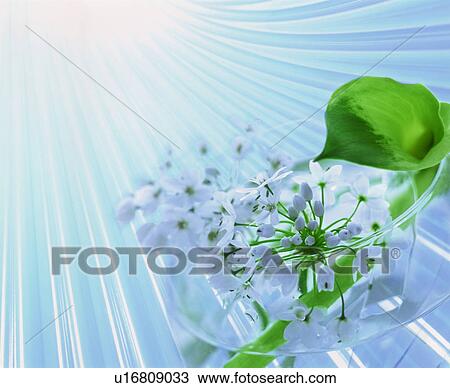 White flowers in a glass vase View Large Photo Image Stock Image - White flowers in a glass vase. Fotosearch