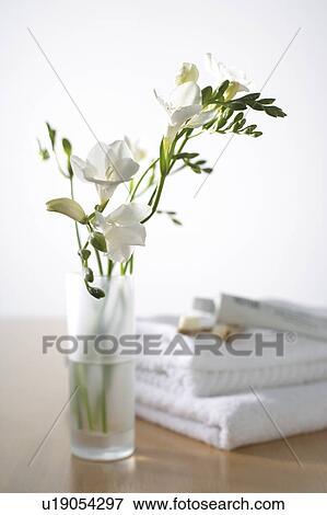Stock Photo - White flowers in a vase next to folded towels, toothpaste and toothbrushes. Fotosearch