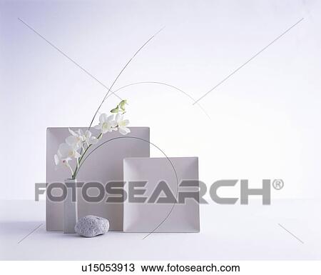 Stock Image - White flowers in a vase, white plates and a white rock. Fotosearch