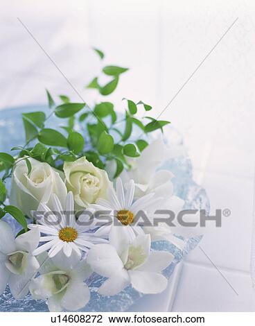White flowers on a plate View Large Photo Image Stock Image - White flowers on a plate. Fotosearch
