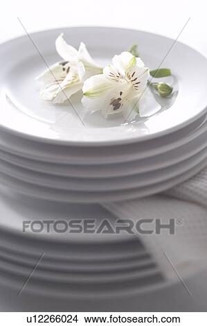 White flowers on a stack of plates View Large Photo Image Picture - White flowers on a stack of plates. Fotosearch