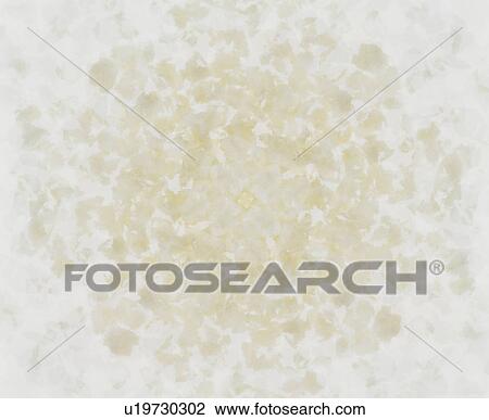 Stock Image - White flowers. Fotosearch