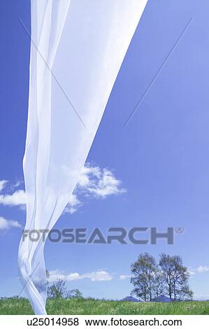 Stock Photo - White sheet blowing in wind. Fotosearch