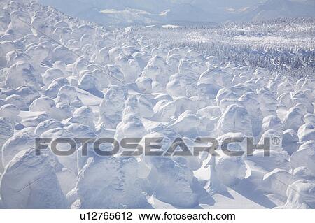 White snowscape, Yamagata Prefecture, Japan View Large Photo Image Stock Image - White snowscape, Yamagata Prefecture, Japan. Fotosearch