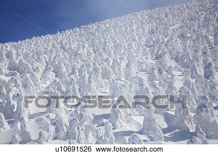 Stock Photograph - White snowscape, Yamagata Prefecture, Japan. Fotosearch