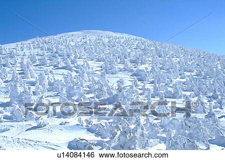 White snowscape, Yamagata Prefecture, Japan View Large Photo Image Stock Photograph - White snowscape, Yamagata Prefecture, Japan. Fotosearch