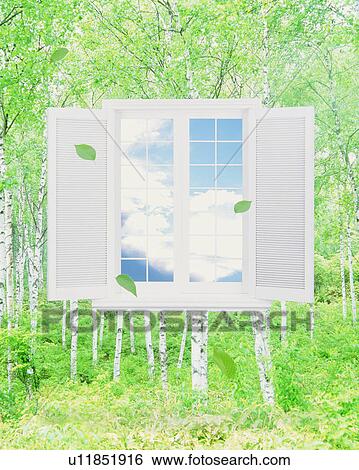 Stock Photograph - Window in a forest. Fotosearch