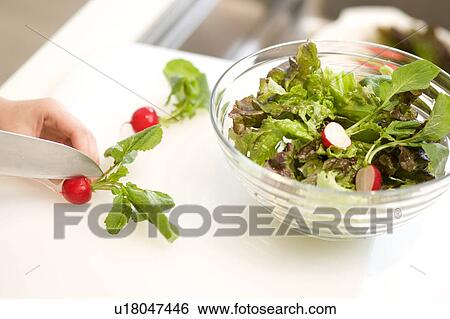 Stock Photograph - Woman cutting radish in half. Fotosearch