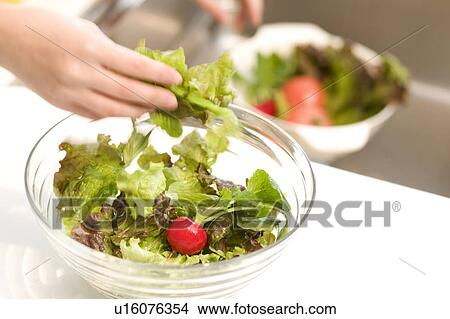 Picture - Woman making salad. Fotosearch