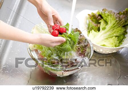 Woman washing radish View Large Photo Image Stock Photo - Woman washing radish. Fotosearch