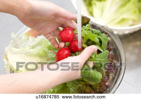 Woman washing radish View Large Photo Image Stock Photography - Woman washing radish. Fotosearch