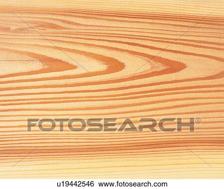 Stock Photograph - Wood grain. Fotosearch