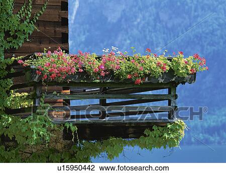 Stock Image - Wooden balcony and flower box by the water, Salzkammergut, Hallstatt, Austria. Fotosearch