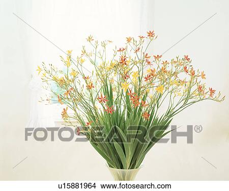 Picture - Yellow and orange lilies in a vase. Fotosearch