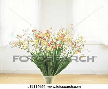 Picture - Yellow and orange lilies in a vase. Fotosearch
