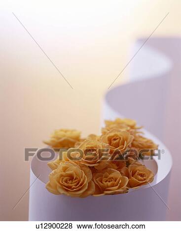 Yellow roses in paper View Large Photo Image Stock Photo - Yellow roses in paper. Fotosearch