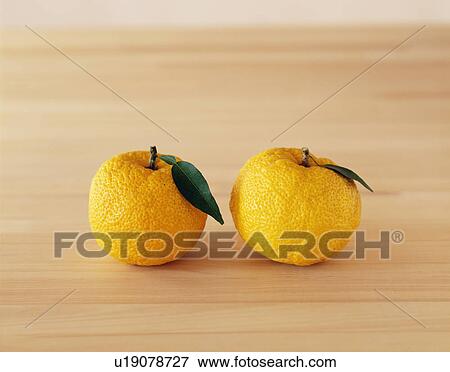 Stock Photo - Yuzu fruit. Fotosearch