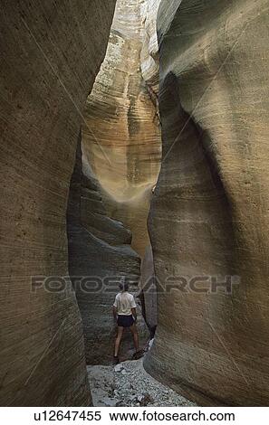 Stock Photography - Adult male examining sandstone formation in narrow canyon, Orderville Canyon, Zion National Park, Utah, USA. Fotosearch