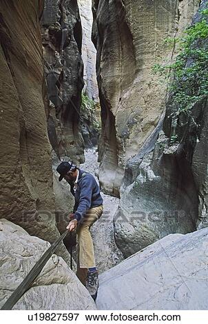 Adult male rappelling in Orderville Canyon, Zion National Park, Utah, USA View Large Photo Image Stock Photo - Adult male rappelling in Orderville Canyon, Zion National Park, Utah, USA. Fotosearch