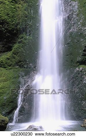 Stock Image - Marymere Falls, Olympic National Park, Washington, USA. Fotosearch