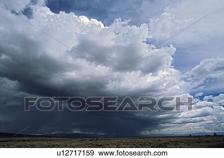 Massive storm front forming over the plains View Large Photo Image Stock Photo - Massive storm front forming over the plains. Fotosearch