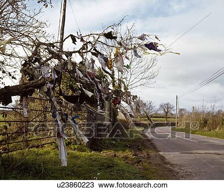Religion, Prayer Tree, Nr. Burnchurch, Co Killkenny, Ireland View Large Photo Image Stock Image - Religion, Prayer Tree, Nr. Burnchurch, Co Killkenny, Ireland. Fotosearch
