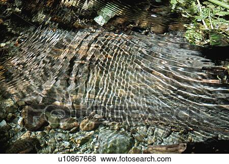 Ripples in small stream form sunlight pattern on submerged stone View Large Photo Image Stock Photo - Ripples in small stream form sunlight pattern on submerged stone. Fotosearch