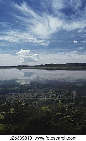 Shallow freshwater lake View Large Photo Image Stock Image - Shallow freshwater lake. Fotosearch