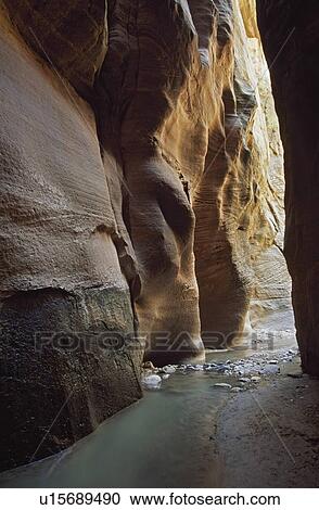 Small stream in sandstone slot canyon, Orderville Canyon, Zion National Park, Utah, USA View Large Photo Image Stock Image - Small stream in sandstone slot canyon, Orderville Canyon, Zion National Park, Utah, USA. Fotosearch