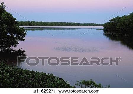 Stock Image - Twilight reflected in pond. Fotosearch