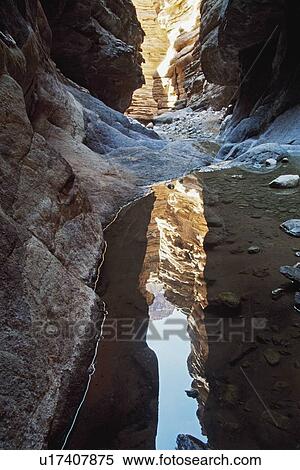 Stock Photography - Water pool reflecting canyon walls in Blacktail Canyon, Grand Canyon, Arizona. Fotosearch