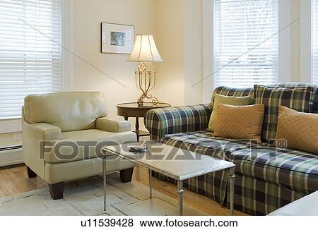 Stock Photo - Living room with plaid sofa. Fotosearch