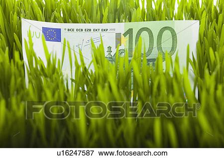 Stock Photo - 100 Euro bill in grass. Fotosearch