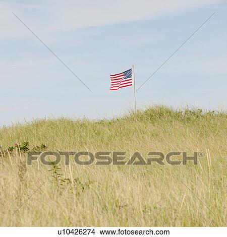 Picture - American flag. Fotosearch