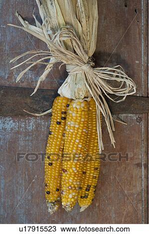 Autumn decoration View Large Photo Image Stock Image - Autumn decoration. Fotosearch