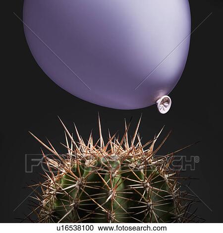 Stock Image - Balloon close to cactus thorns. Fotosearch