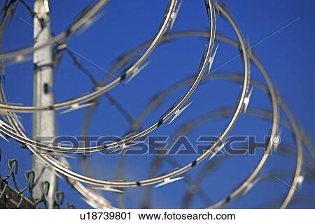 Stock Image - Barbed wire fence. Fotosearch