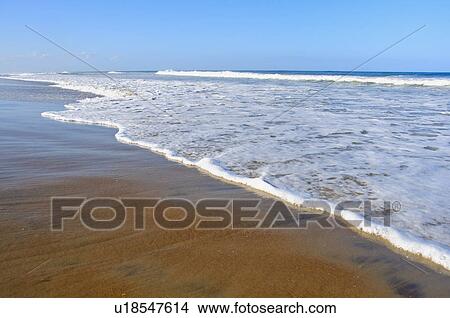 Picture - Beach. Fotosearch