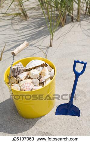 Beach shovel and pail of shells View Large Photo Image Stock Image - Beach shovel and pail of shells. Fotosearch