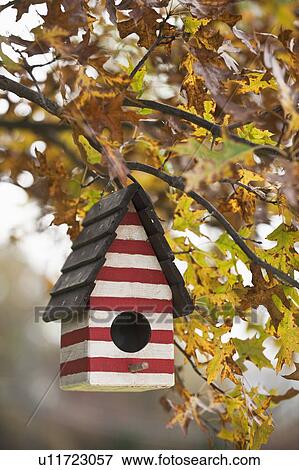 Stock Photo - Birdhouse. Fotosearch