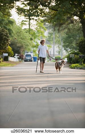 Boy walking dog View Large Photo Image Stock Image - Boy walking dog. Fotosearch