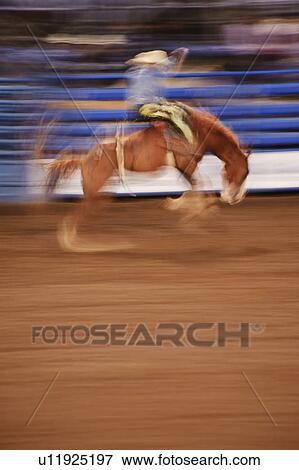 Stock Photo - Bronco riding. Fotosearch