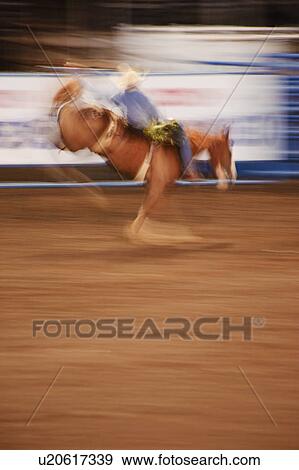 Bronco riding View Large Photo Image Stock Photo - Bronco riding. Fotosearch