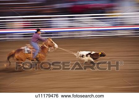 Stock Photograph - Calf roping. Fotosearch